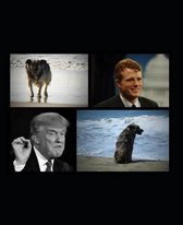 Juvia, Kennedy & the Trial and Cofession of Trump