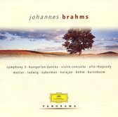 Panorama: Johannes Brahms