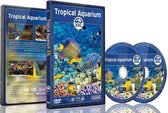 Tropisch aquarium XXL
