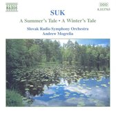 Slovak Rso - A Summer S/Winter S (CD)