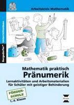 Mathematik praktisch: Pränumerik. mit CD