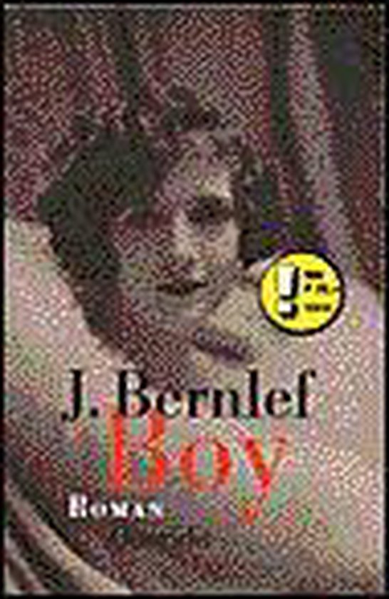 Boy - J Bernlef | Nextbestfoodprocessors.com
