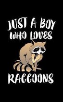 Just A Boy Who Loves Raccoon