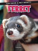 You Have a Pet What?! - Ferret