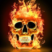 DP® Diamond Painting pakket volwassenen - Afbeelding: Burning Skull - 60 x 60 cm volledige bedekking, vierkante steentjes - 100% Nederlandse productie! - Categorie: Diamond Painting - Hobbypa