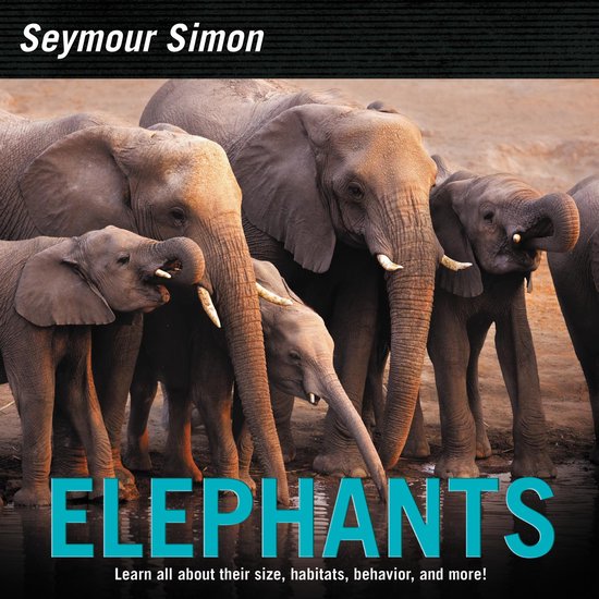 Elephants - cover