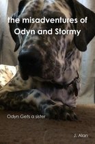 the Misadventures of Odyn and Stormy