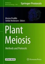 Plant Meiosis