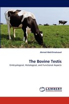 The Bovine Testis