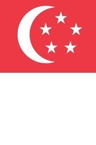 Singapore Flag Notebook - Singaporean Flag Book - Singapore Travel Journal