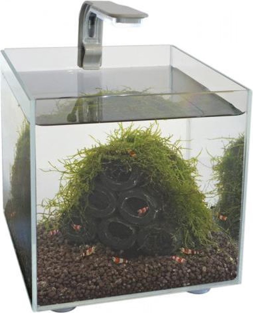 SuperFish Nano Shrimp Kit Aquarium 14x14x15 cm 1,8L bol