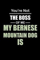 You're not the Boss of Me My Bernese Mountain Dog Is
