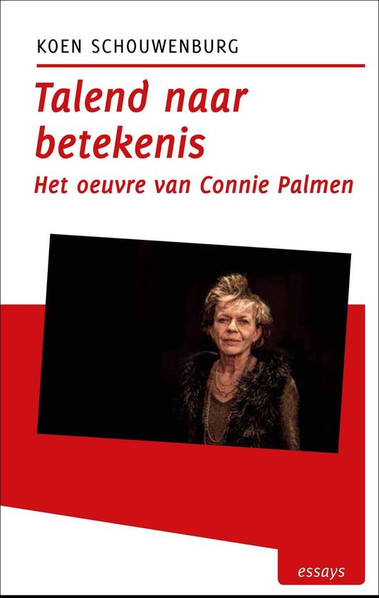 Tzum-reeks 9 - Talend naar betekenis - cover