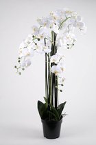 Orchidee plant - zijden plant - kantoorplant - wit - topkwaliteit kunstplant - 109cm
