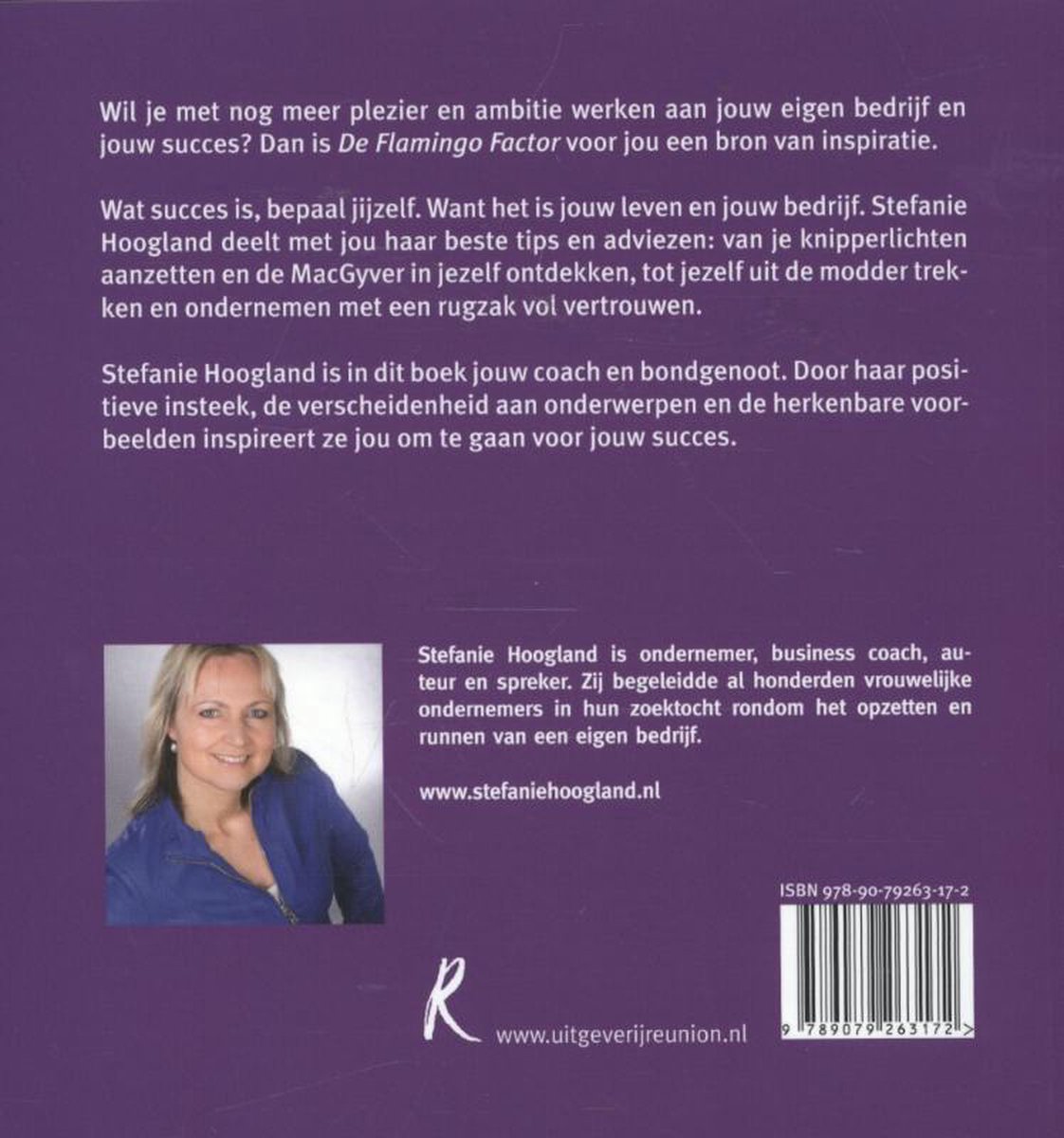 De flamingo factor - back cover