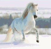 DP® Diamond Painting pakket volwassenen - Afbeelding: Wit Paard in Galop Sneeuw - 50 x 50 cm volledige bedekking, vierkante steentjes - 100% Nederlandse productie! - Cat.: Dieren - Paarden