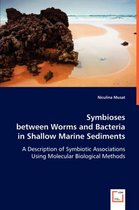 Symbioses between Worms and Bacteria in Shallow Marine Sediments