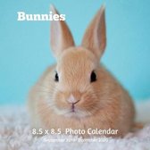 Bunnies 8.5 X 8.5 Calendar September 2019 -December 2020