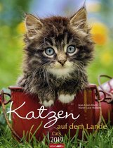 Kittens op het Platteland Kalender 2019