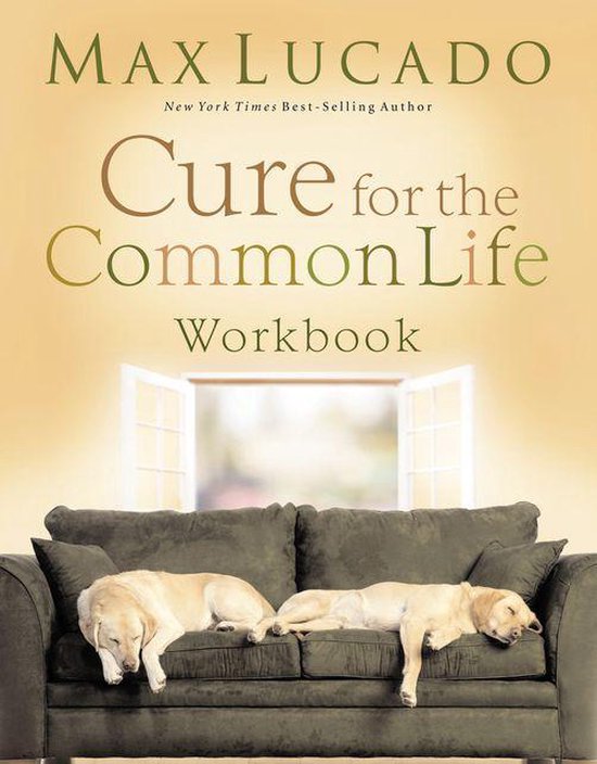 Cure for the Common Life Workbook - cover