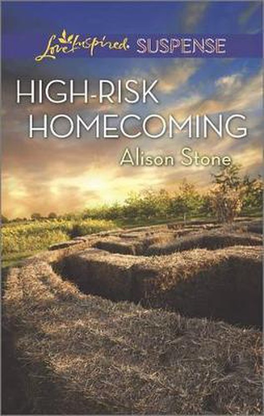 High-Risk Homecoming - cover