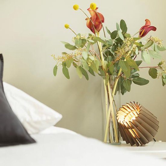Buy a Van Tjalle en Jasper Chicken-spot table lamp here
