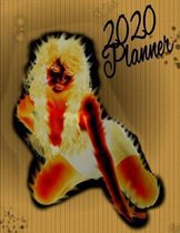 2020 Planner