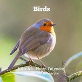 Birds 8.5 X 8.5 Calendar September 2019 -December 2020