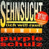Sehnsucht (Ich Will Raus) [Remix '91 Single]