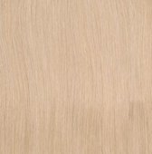 Bighair Clip-in Extension Midden/licht Goudblond 18# 8 banen - 40cm - 100gram