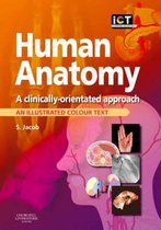 Human Anatomy