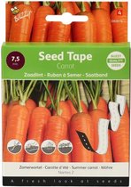 Buzzy® Fun Seed Tape Carottes Nantes
