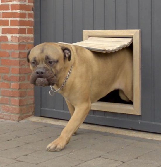 Beethoven Hondenluik voor Zeer Grote Honden | Naturel | 45... bol.com