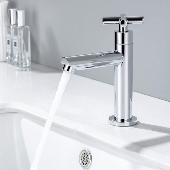 Minnhua Wastafelkraan, roestvrij staal, koudwaterkraan, gastentoilet met slang, koudwaterkraan, kraan badkamer, koud water, koudwaterarmaturen voor badkamer, keuken, buiten (zilver