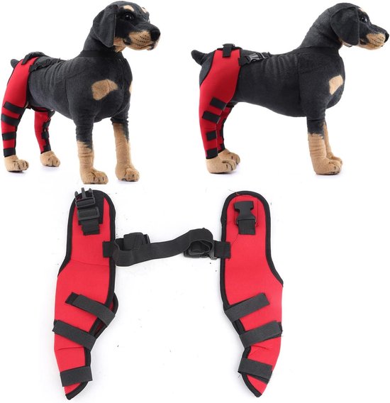 Symptomen, behandeling en preventie van achterpootzwakte bij honden - Uitgelaten Hond