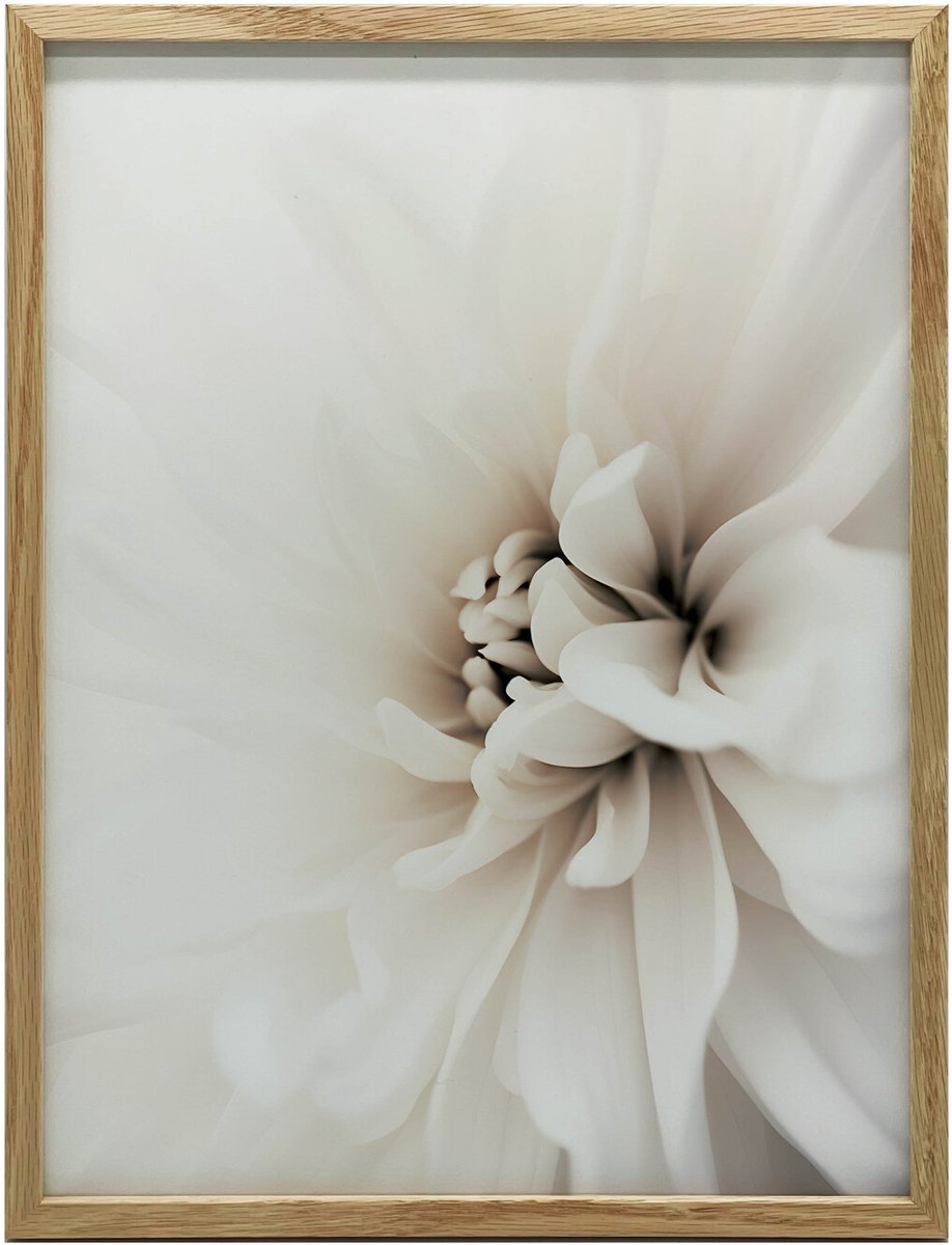 Canvasschilderij Voor De Muur Delicate Wit Dashlia Zonder Lijst 30X40