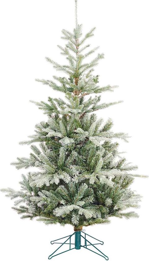 loterij Toevoeging Schurend Black Box celtis kerstboom groen frosted tips 561 maat in cm: 155 x 97 -  GROEN | bol.com