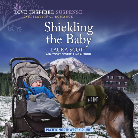 Shielding the Baby - cover