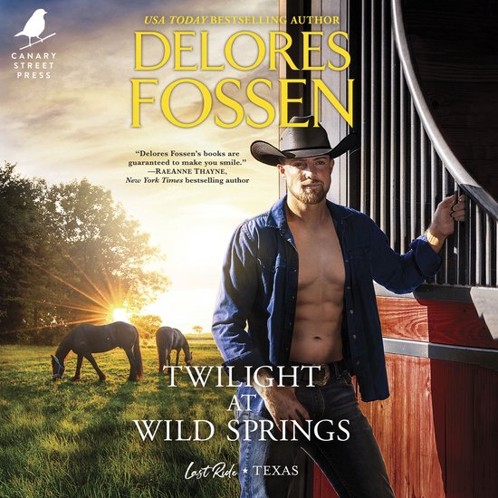 Twilight at Wild Springs - cover