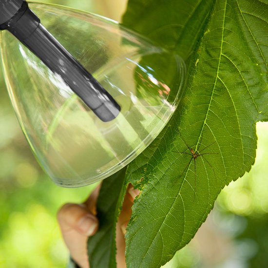 Een hand reikt met een insectenvanger naar een spin op een groen blad.
