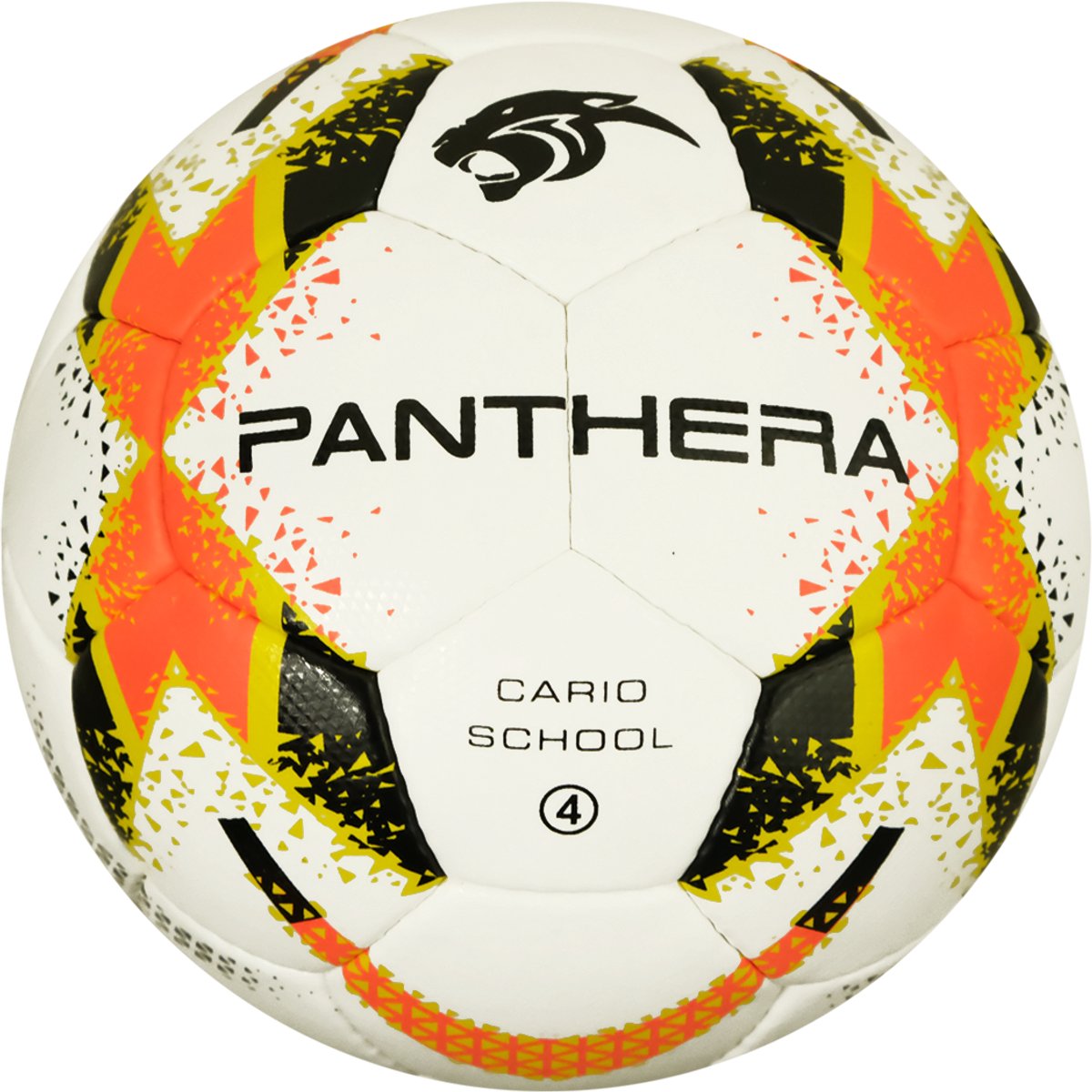 Panthera - Voetbal - Cario school - Maat 4 - Voetballen