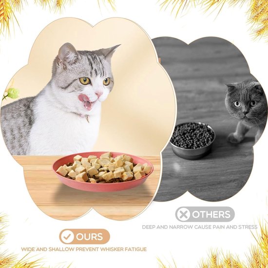 Unyqoos® Ensemble de gamelles colorées et fonctionnelles pour chats et Chats à pattes courtes - 10 pièces
