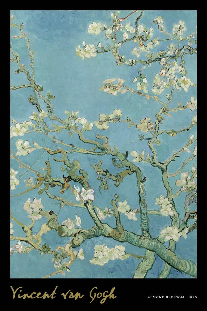 Yisual Poster 30x40 cm - Amandelbloesem - Vincent van Gogh - Bloesemtakken - Blauw - Zwart - Postimpressionisme - Botanisch - Muurdecoratie - Wanddecoratie