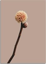 DesignClaud Tak met knop bloem poster - Naturel A2 + Fotolijst zwart