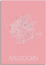 DesignClaud Apeldoorn Plattegrond poster Roze  - A3 + Fotolijst zwart (29,7x42cm)