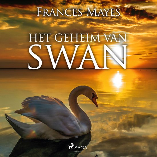 Het geheim van Swan - cover