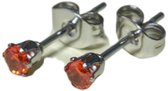 Aramat Jewels - Oorbellen - Zilverkleur / 3mm - Zilverkleur - - - Cadeau