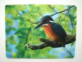 Placemat ijsvogel 3D, set van 4