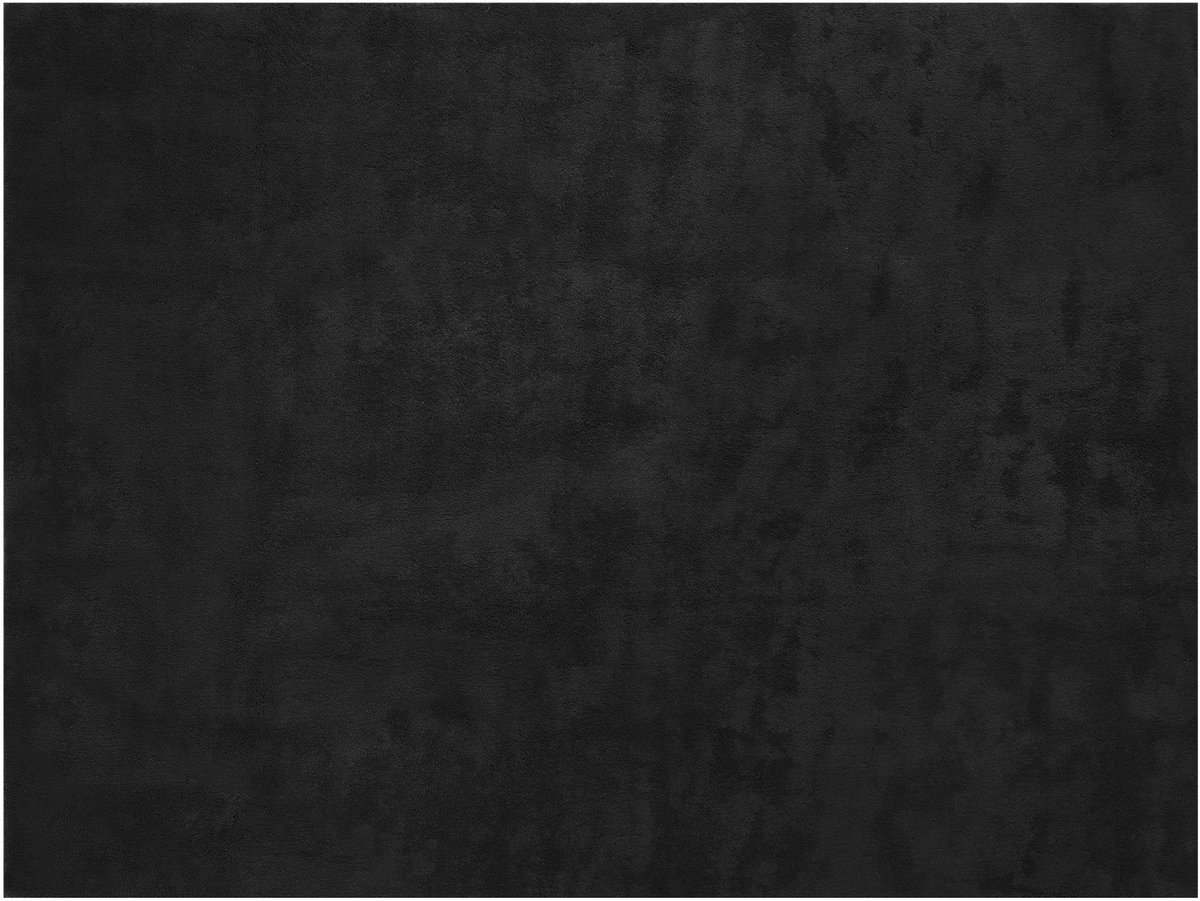 tectake® Kortpolig Vloerkleed - 120 x 170 cm - Zwart - 1630 g/m² Poolgewicht - Tapijt voor Woonkamer, Slaapkamer, Eetkamer - Onderhoudsvriendelijk en Wasbaar - Antislip Ondertapijt - Allergievriendelijk - Diverse maten en kleuren