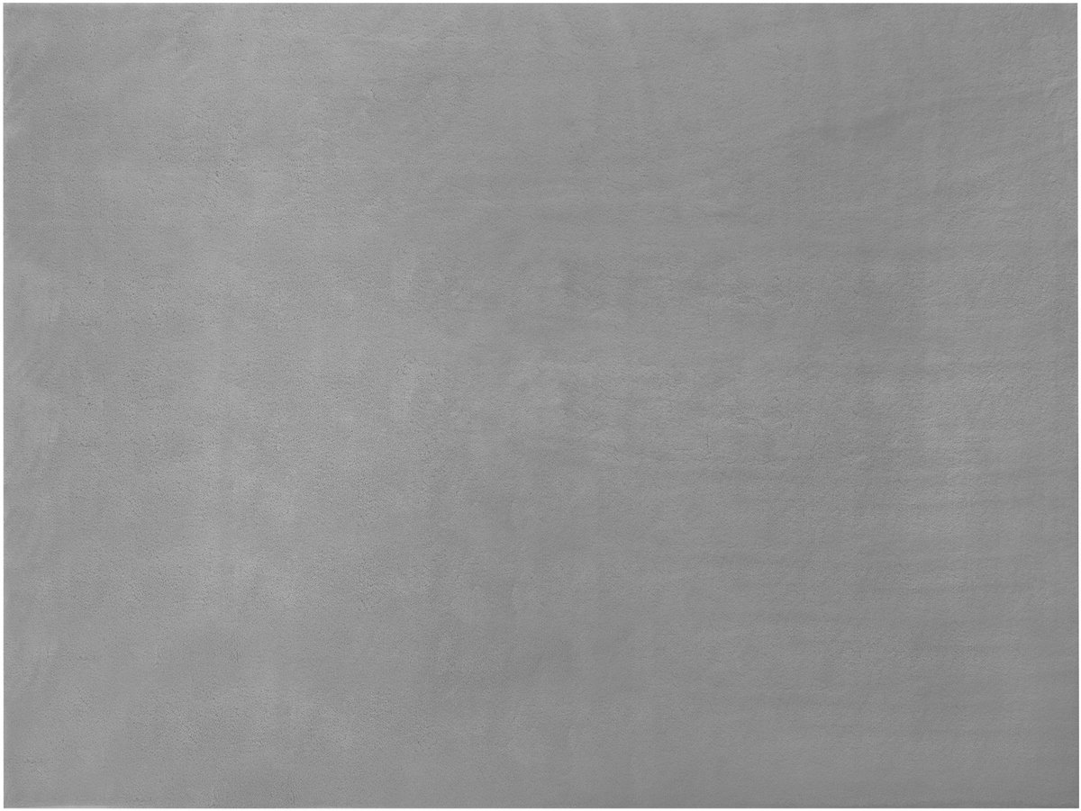 tectake® Kortpolig Vloerkleed - 120 x 170 cm - Grijs - 1630 g/m² Poolgewicht - Tapijt voor Woonkamer, Slaapkamer, Eetkamer - Onderhoudsvriendelijk en Wasbaar - Antislip Ondertapijt - Allergievriendelijk - Diverse maten en kleuren